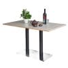 Bàn cafe chữ nhật 120x60cm gỗ plwood phủ melamin chân sắt đôi CFD68183